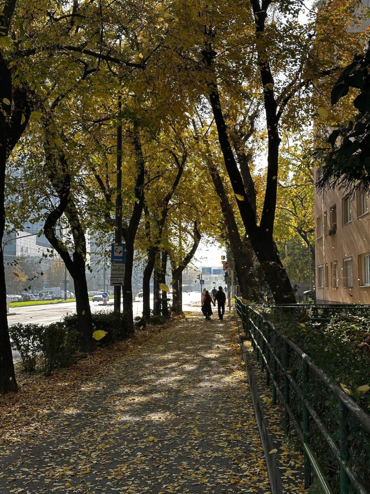 S Velkou Terasou A Balkonom V Centre Mesta! Apartmán